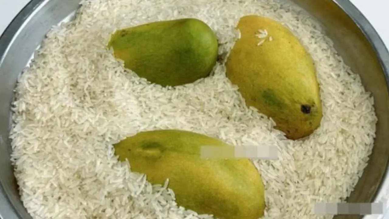 Surprising uses of rice you should know
