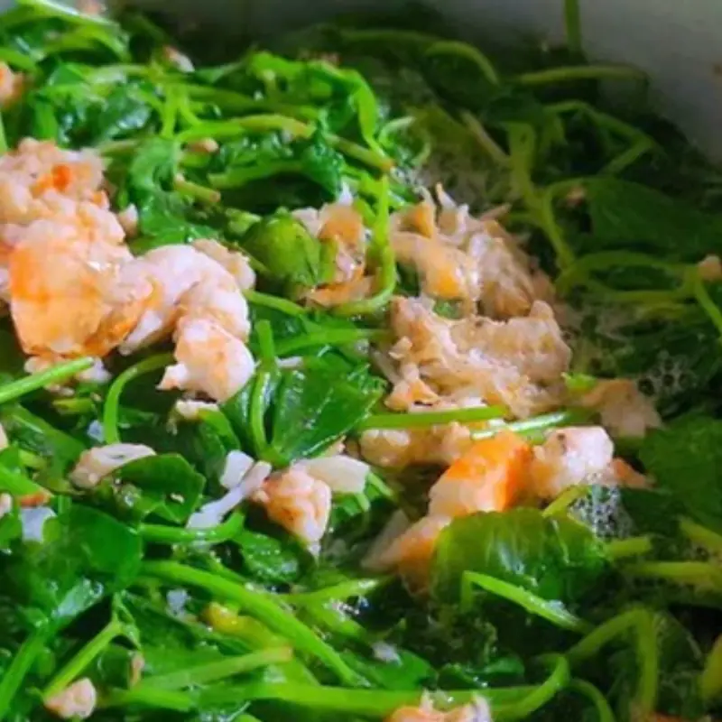 The Collagen-Boosting Power of a Humble Green: Nature’s Secret to Glowing Skin