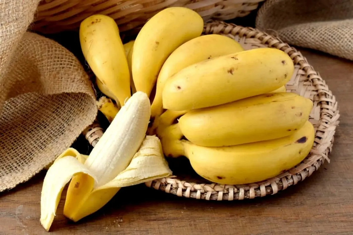 What happens to your blo.od pressure when you eat bananas every day?