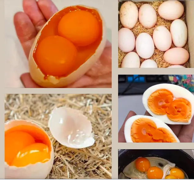 Are These Mutant Eggs Safe to Eat? The Truth About Double Yolks and Rainbow Shells