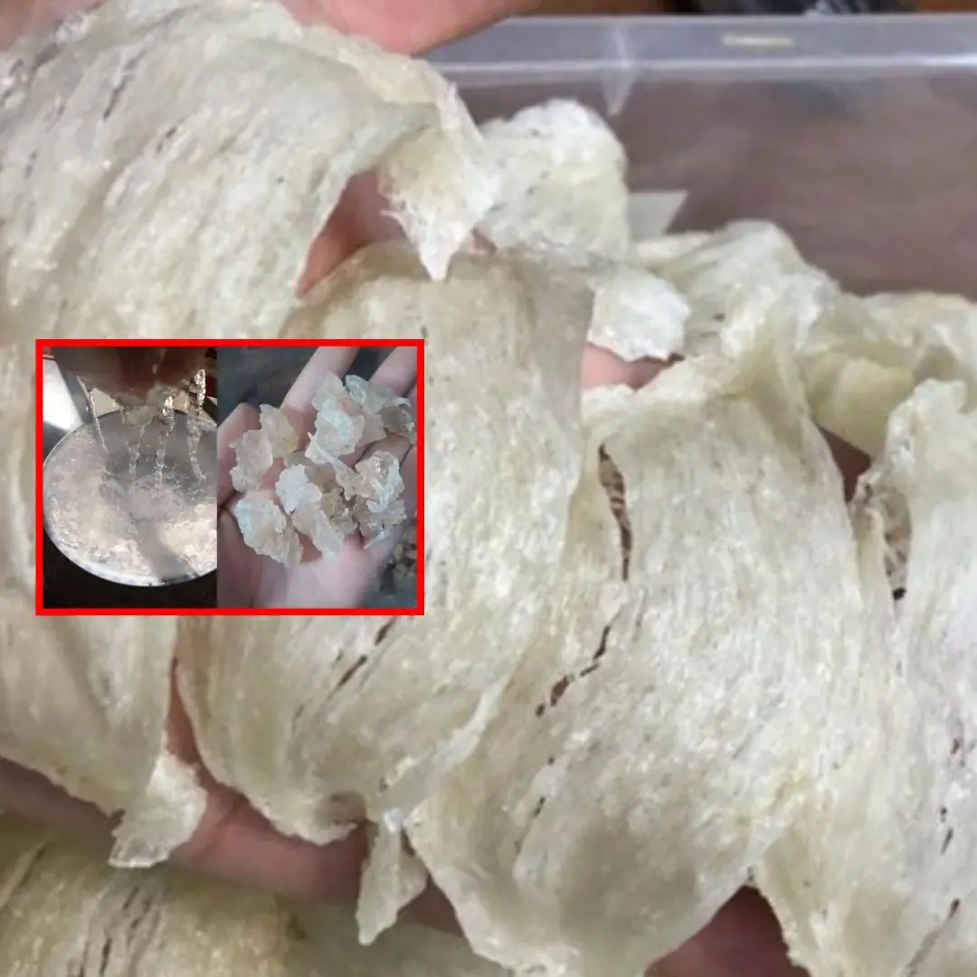 Doctor shows how to identify real and fake bird's nest