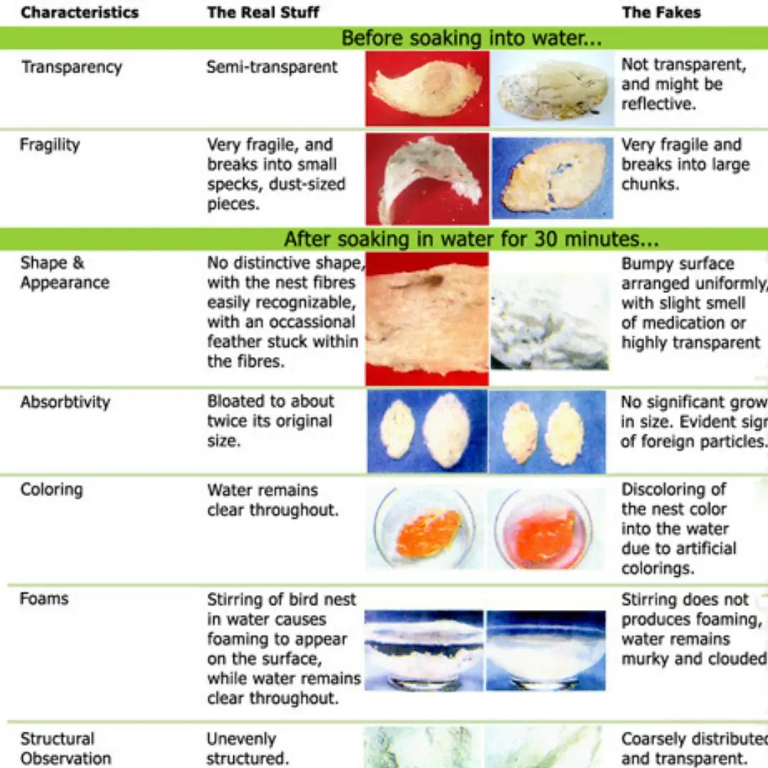 7 Ways to Differentiate Between Pure Bird Nest and Fake Bird Nest