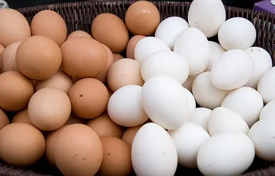 Should you choose brown or white eggs?