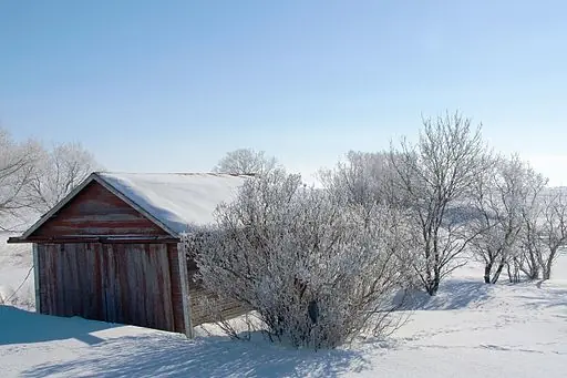 Christmas at Red Butte