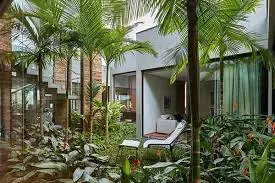 5 "Negative Energy" Plants to Avoid Planting in Front of Your House: They May Bring Poverty for Generations