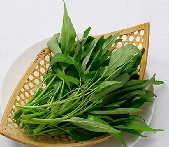 "5 no's" when eating water spinach, know to avoid or you will bring disaster
