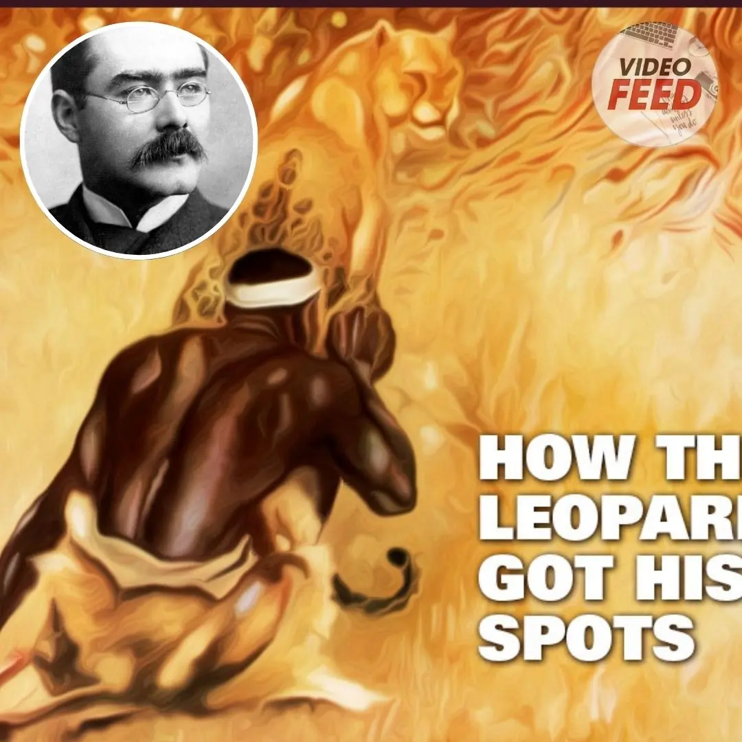 How the Leopard Got His Spots