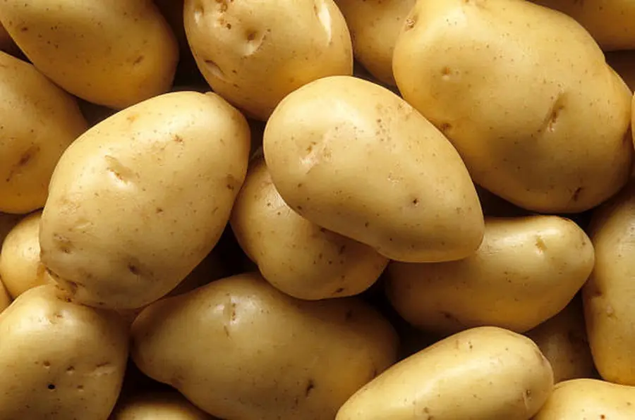 5 foods that are better off stored outside the fridge
