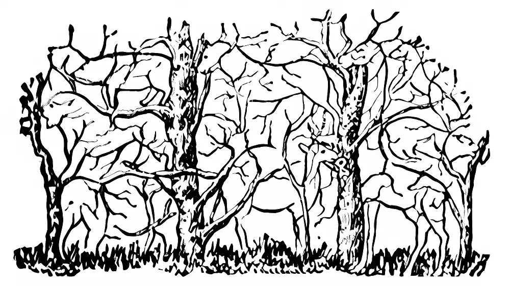 Can You Spot How Many Animals Are in the Tree?