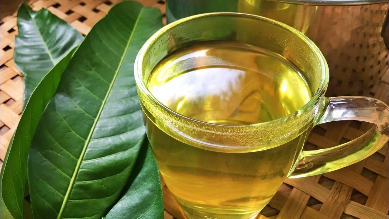 You’ve Been Throwing Away the Most Medicinal Part of the Mango Tree