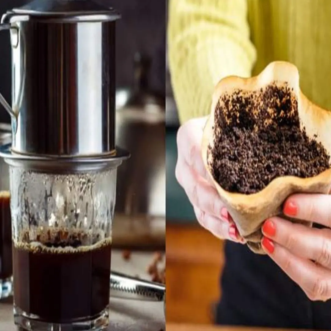 Throwing away coffee grounds is like throwing away money. Uses of coffee grounds that every home needs