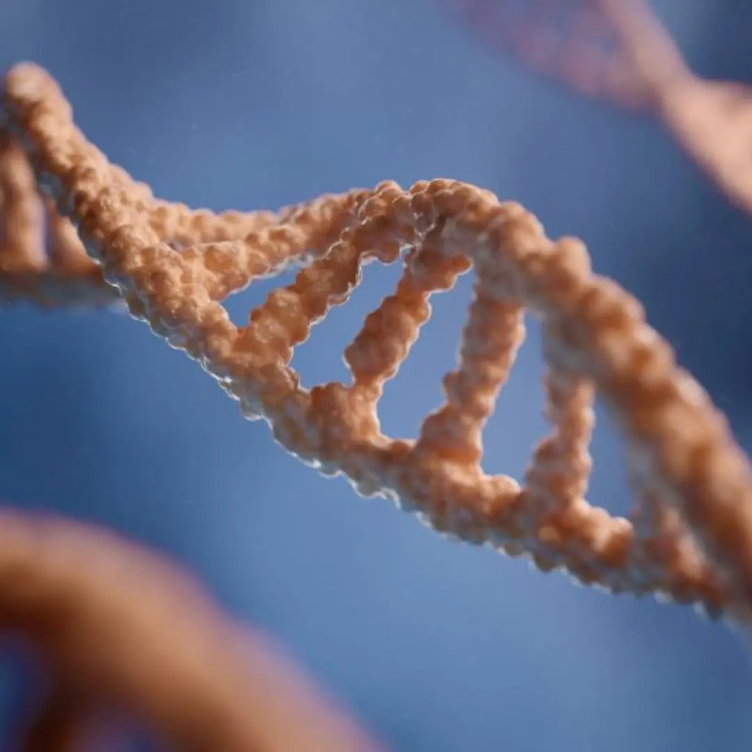 Rare genetic mutation allows some people to thrive on 4 hours of sleep, study suggests