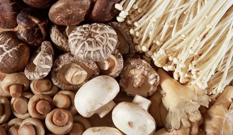 5 immune-boosting foods you should include in your daily diet