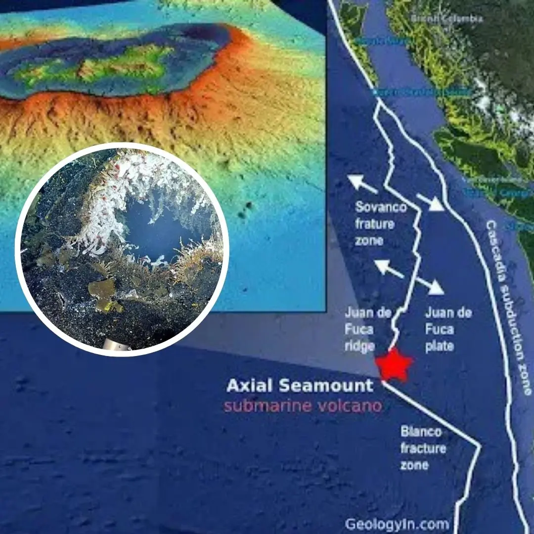 Scientists warn of huge underwater volcano expected to erupt this year after 'swelling' was spotted