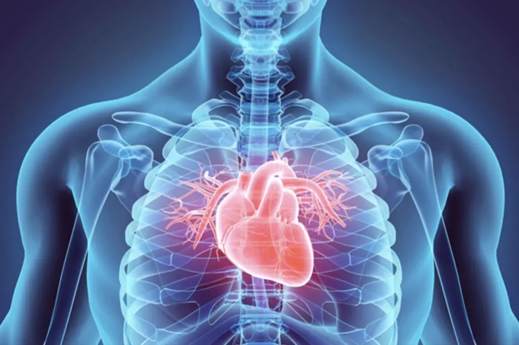 Diseases that can cause sudden de.a.th