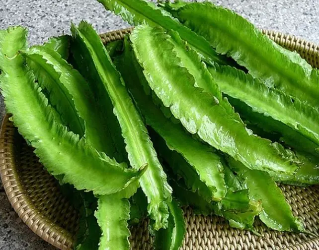 What used to be pig feed suddenly turned into "green gold", priced at 1 million/kg but still "sold out"