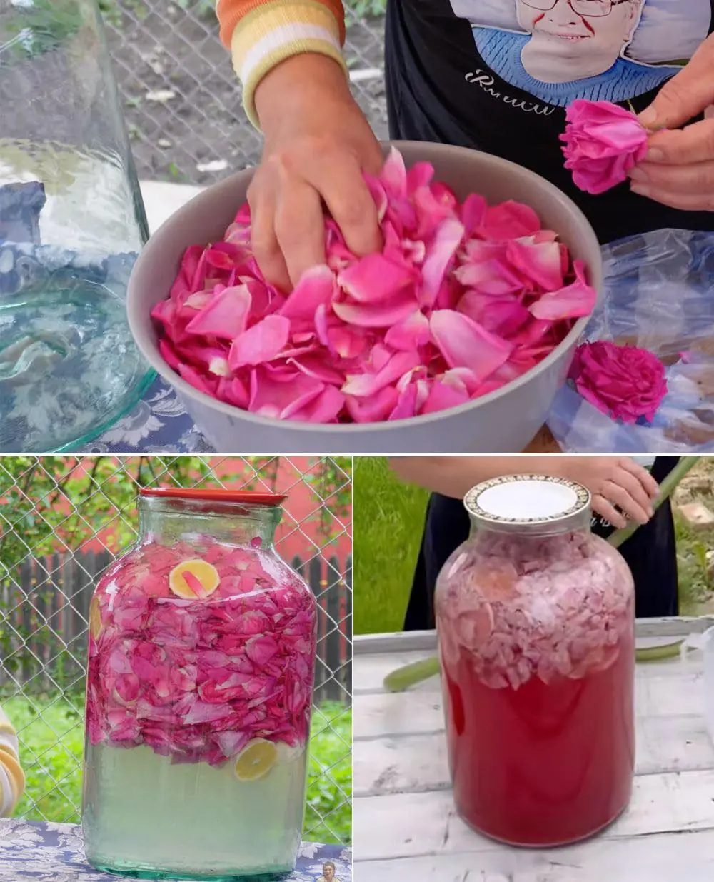 How to Make Rose Petal Lemonade – A Refreshing Homemade Drink