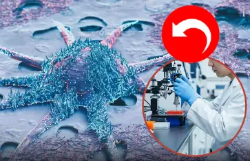Major medical breakthrough: Korean researchers discover “Undo” mechanism to transform tumor cells back to normal