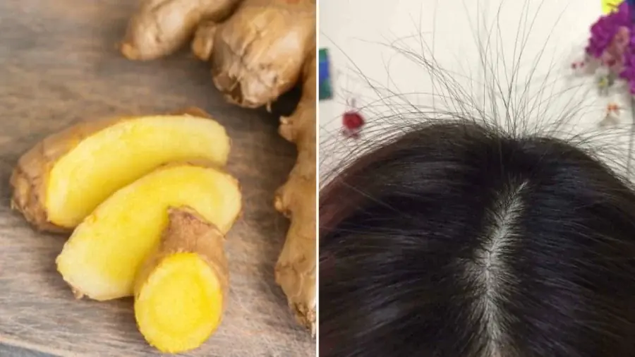 Thin Hair, Visible Scalp? Use Ginger This Way and Watch Your Hair Grow Fast!