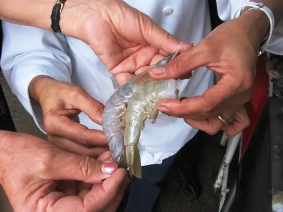 The Most Accurate Way to Tell Farmed Shrimp from Wild Shrimp – Seller Shares Tips Anyone Can Use