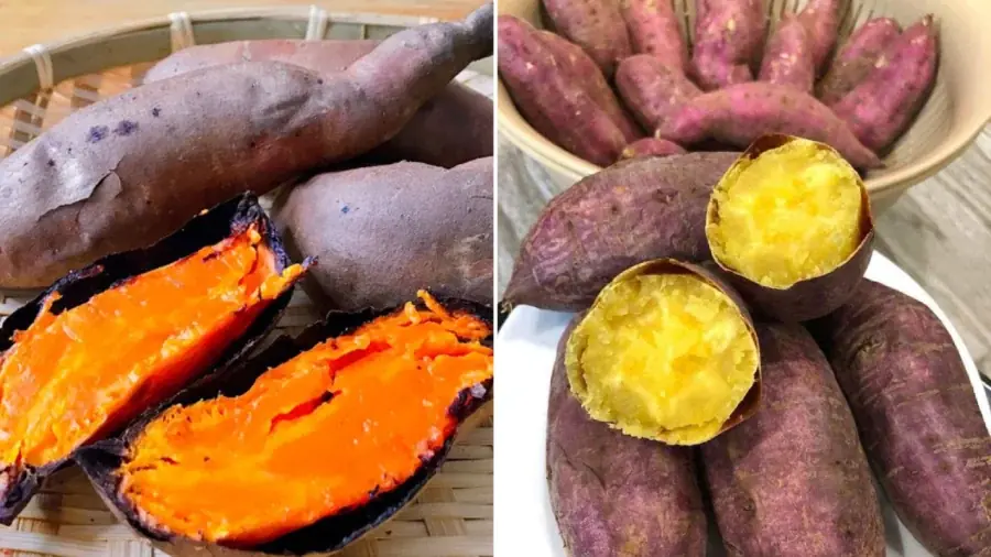 Sweet Potatoes Are Healthy, but These 5 Groups of People Should Avoid Them