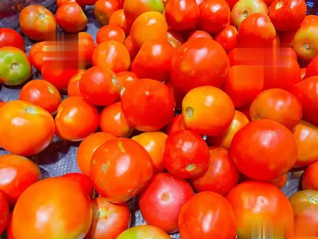 When buying tomatoes, which of these two types of tomatoes should you choose?