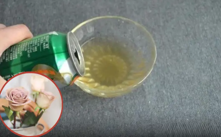 Don’t Toss That Leftover Beer: Discover 8 Surprising Benefits of Keeping I