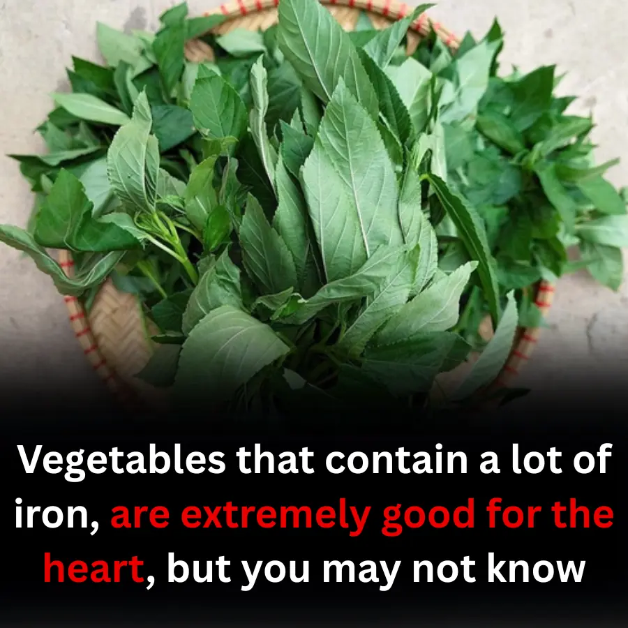 Vegetables that contain a lot of iron, are extremely good for the heart, but you may not know