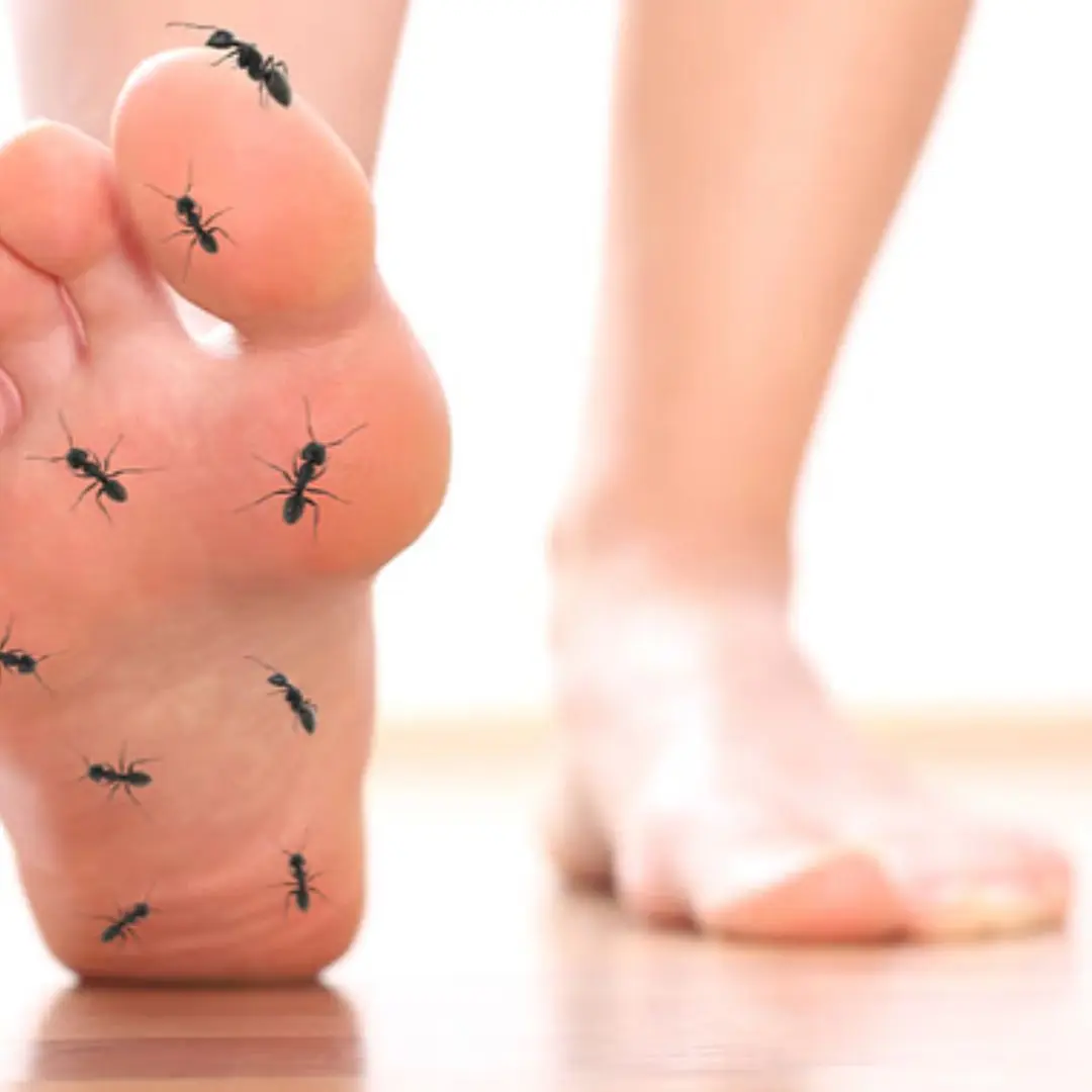 Tingling In Feet: 6 Common Causes You Should Know About