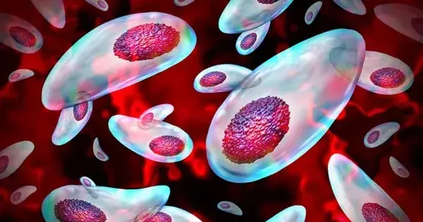 A parasite that can cut off human sp:erm, causing global infertility?