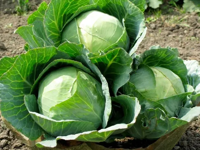 4 Summer Vegetables Most Likely to Contain Har.mful Chemicals — Especially #1
