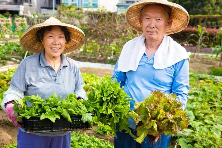 2 types of vegetables that Japanese people consider "miracle drugs": Sold in abundance at the market, unbelievably cheap