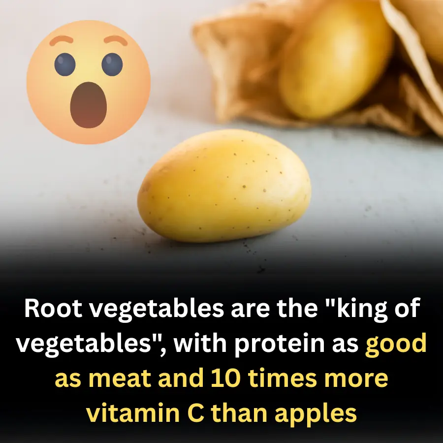 Root vegetables are the "king of vegetables", with protein as good as meat and 10 times more vitamin C than apples