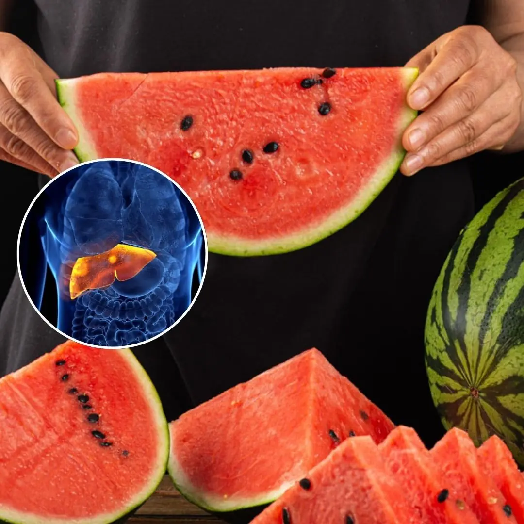 This popular summer fruit has received attention from scientists for its cooling, diuretic properties and ability to naturally support liver detoxification.