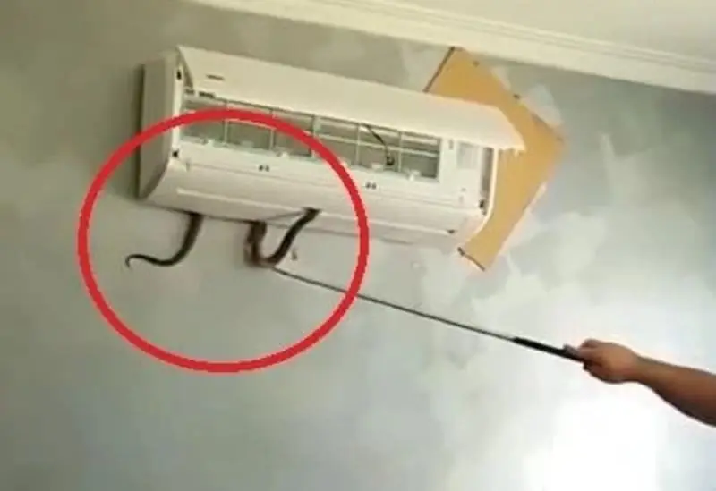 Chilling Warning About a Common Household Appliance!