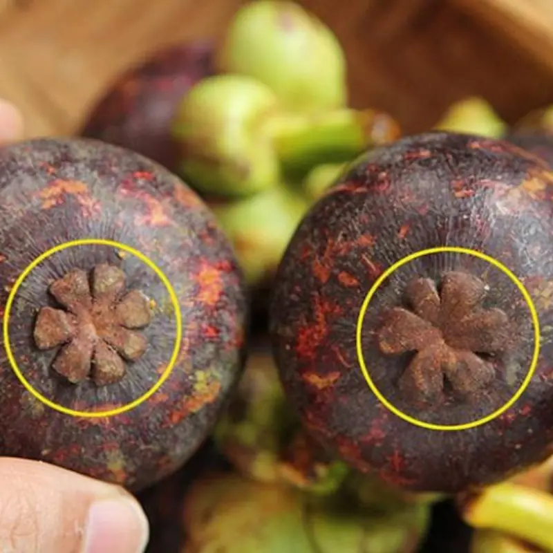 4 Quick Tips to Instantly Spot Sweet