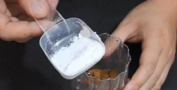 Try This DIY “Plastic Bottle Mosquito Trap” and Enjoy a Mosquito-Free Summer!