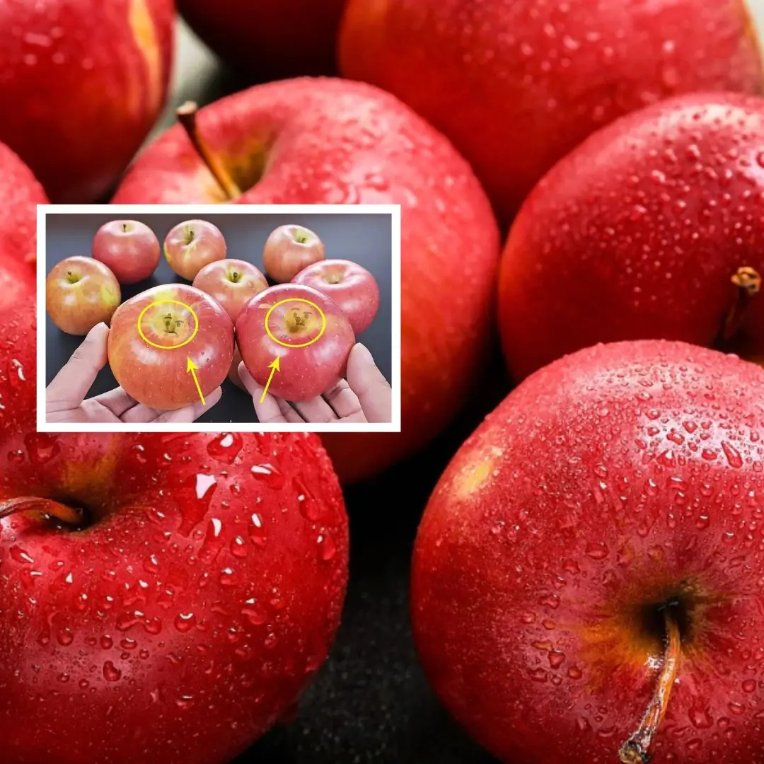 Want crisp, juicy, and delicious apples?