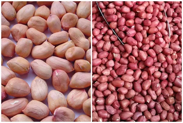 The difference between red peanuts and white peanuts
