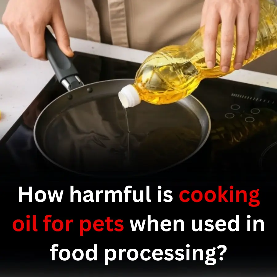 How harmful is cooking oil for pets when used in food processing?