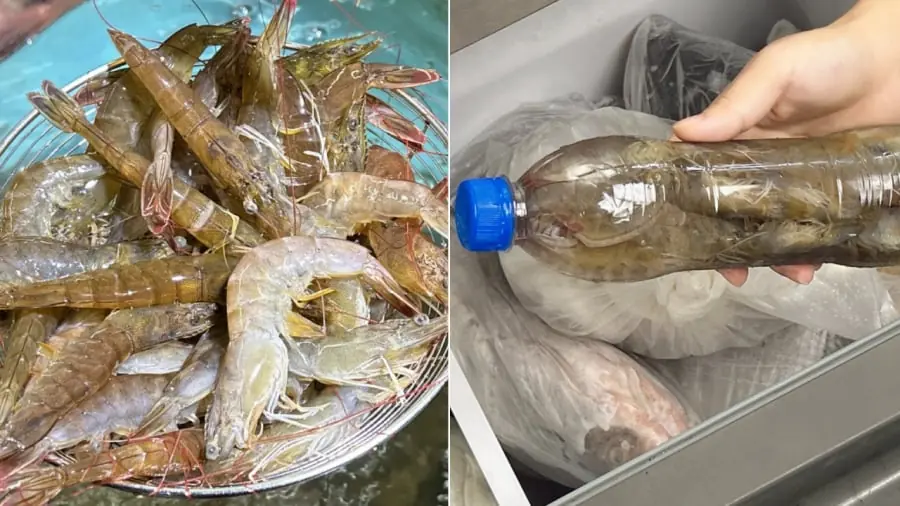 3 Smart Tips to Keep Shrimp Fresh for a Year—Still Firm, Sweet, and Delicious
