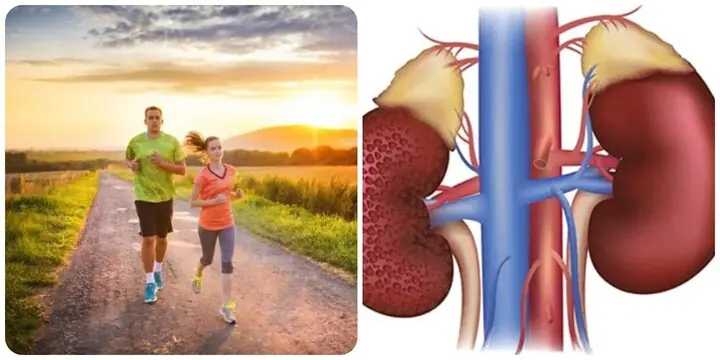 8 habits to keep your kidneys healthy
