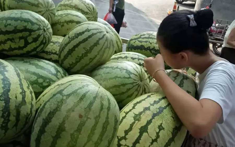 Summer, how to choose the right naturally sweet ripe watermelon: No need to type, just look at one spot and you'll know right away