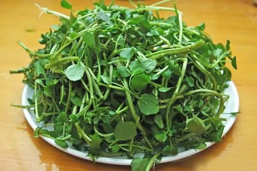 4 best vegetables to help prevent canc.er
