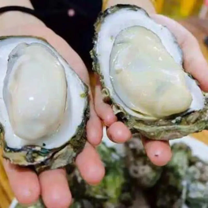 When Buying Oysters, Avoid These 3 Types