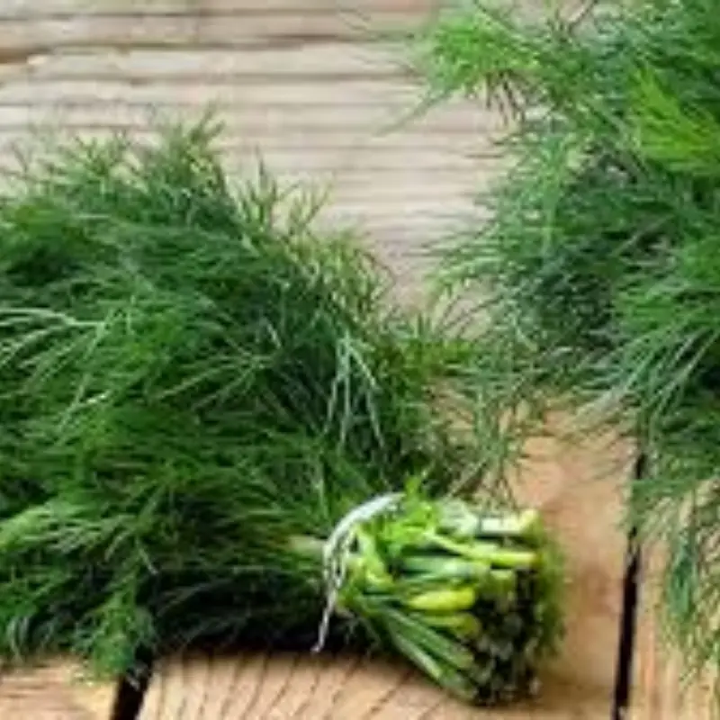 3 Green Vegetables Called the “King” of Sto.mach Protection