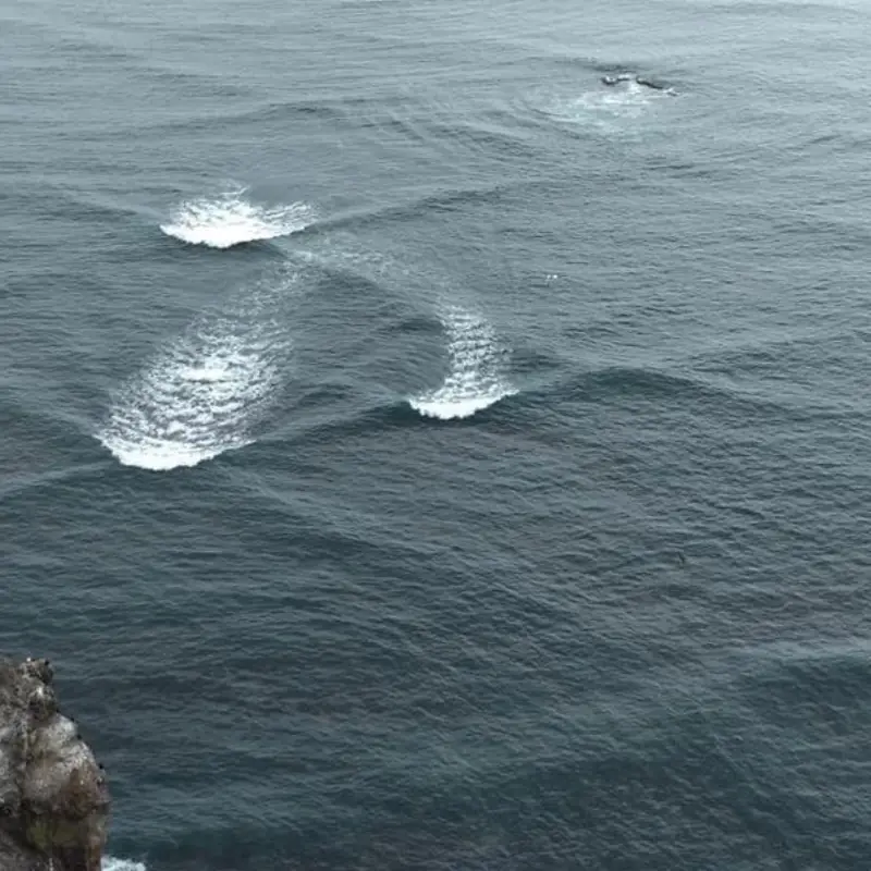 Avoid Swimming If You Spot 'Square Waves'