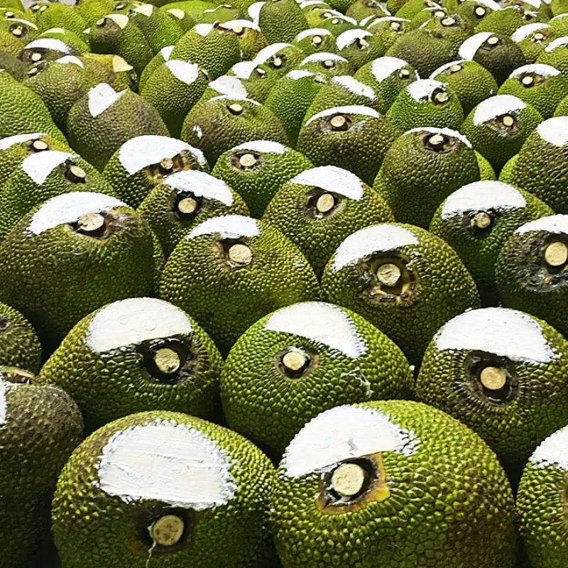 Jackfruits with White-Painted Tops