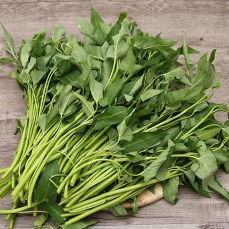 Experts Warn That Some Vegetables Are a Source of Toxins and Should Not Be Eaten Raw