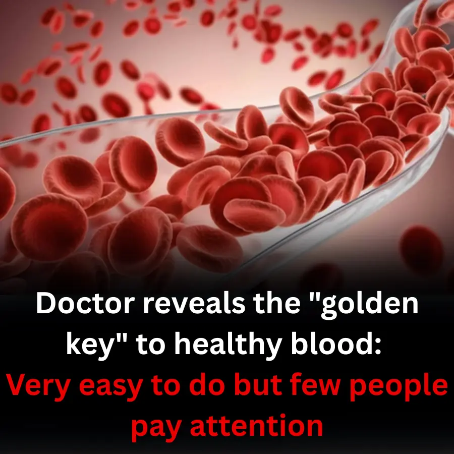 Doctor reveals the "golden key" to healthy blood: Very easy to do but few people pay attention